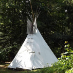 A camping tent in the woods.