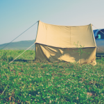 Canvas tent that potentially has mold or mildew.